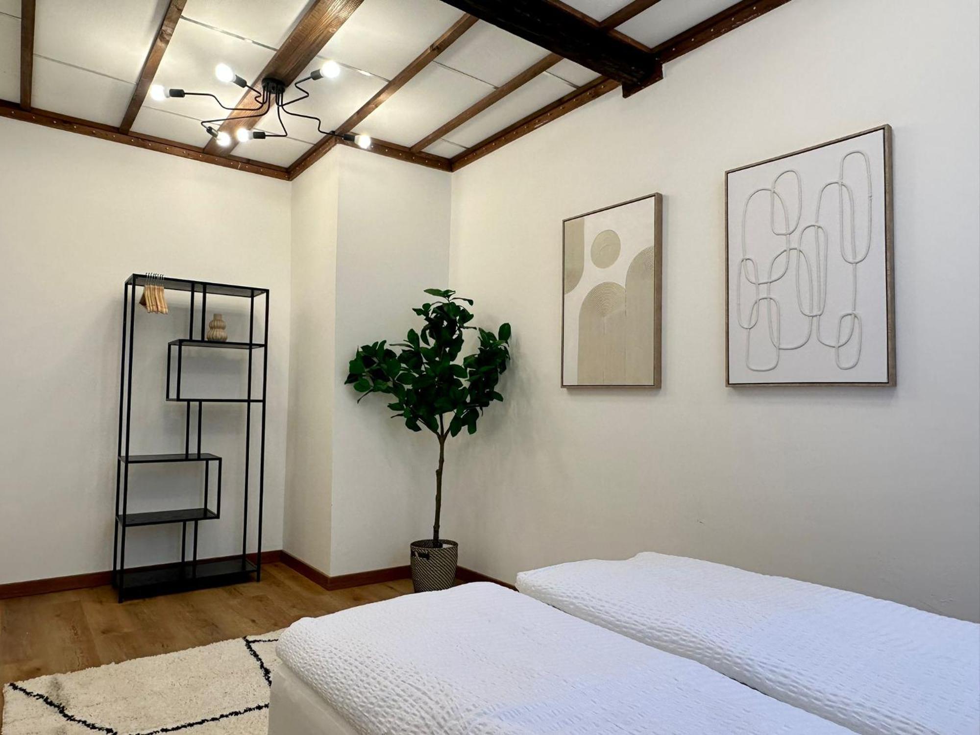 Hidden Garden - Spacious Modern - 1 Min To City Shuttle * Wien
